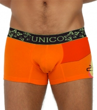 Celda Trunk